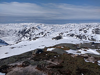 Tollak_20240215_65ce61bc866e5.jpg