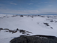 Tollak_20240215_65ce61c0bee3b.jpg