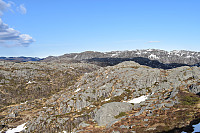 Tollak_20240430_66312960d313c.jpg