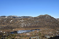 Tollak_20240430_6631296cc4e42.jpg