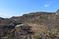 Tollak_20240430_6631296e7803d.jpg
