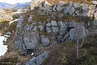 Tollak_20240430_6631297be3981.jpg