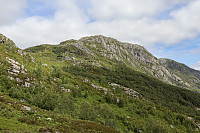 Tollak_20240713_6692df4b96a5c.jpg