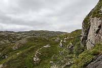 Tollak_20240713_6692df519dd39.jpg