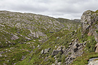 Tollak_20240713_6692df54afaa5.jpg