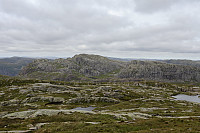 Tollak_20240713_6692df5c5b712.jpg