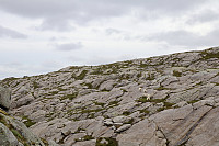 Tollak_20240713_6692df5f7b346.jpg