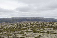 Tollak_20240713_6692df636d107.jpg