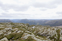 Tollak_20240713_6692df6575b42.jpg