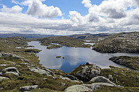 Tollak_20240717_669807f9ab67e.jpg