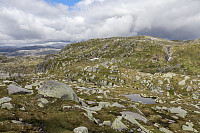 Tollak_20240717_669807fe3b50f.jpg