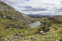 Tollak_20240717_669807ff24d2f.jpg
