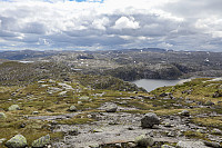 Tollak_20240717_66980802302f2.jpg