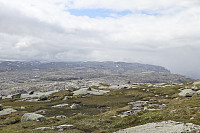 Tollak_20240717_6698080326103.jpg