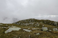 Tollak_20240717_669808089d413.jpg