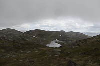 Tollak_20240717_6698080b17d47.jpg