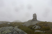 Tollak_20240717_6698080de6ffe.jpg
