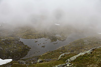 Tollak_20240717_6698080f3b728.jpg