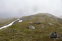 Tollak_20240717_6698080fe40e0.jpg