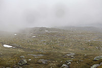 Tollak_20240717_66980811330da.jpg