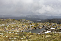 Tollak_20240717_66980812c7e4f.jpg