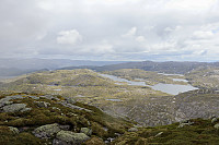 Tollak_20240717_669808139fed2.jpg