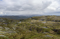 Tollak_20240717_6698096c7554a.jpg