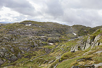 Tollak_20240717_66980a50aad91.jpg