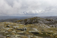 Tollak_20240717_66980ad7ea599.jpg