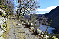 Tollak_20240727_66a526fe02aa0.jpg