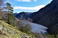 Tollak_20240727_66a526ff036bd.jpg