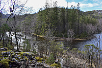 Tollak_20240727_66a52700e2b1a.jpg