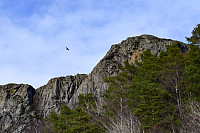 Tollak_20240727_66a52702b49b9.jpg