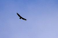 Tollak_20240727_66a5270353b2b.jpg