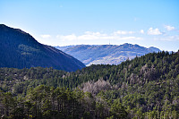 Tollak_20240727_66a52703ef936.jpg