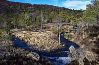 Tollak_20240727_66a52705057a1.jpg
