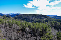 Tollak_20240727_66a52705edff1.jpg