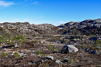 Tollak_20240727_66a52706d7a44.jpg