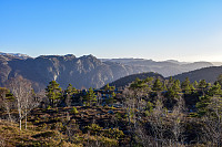 Tollak_20240727_66a52714bdbe6.jpg