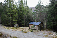 Tollak_20240727_66a52716cf858.jpg