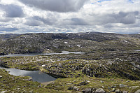 Tollak_20240728_66a69a80762e9.jpg