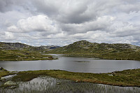 Tollak_20240730_66a90e16cd523.jpg
