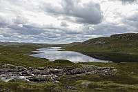 Tollak_20240730_66a90e185fc2c.jpg