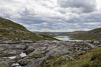 Tollak_20240730_66a90e1a9488f.jpg