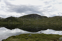 Tollak_20240730_66a90e1bc4c63.jpg