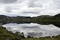 Tollak_20240730_66a90e1cae25a.jpg