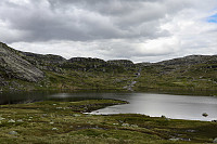 Tollak_20240730_66a90e1e8ad04.jpg