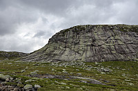 Tollak_20240730_66a90e1f8fb02.jpg