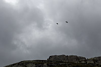 Tollak_20240730_66a90e204d475.jpg