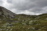 Tollak_20240730_66a90e21359a0.jpg
